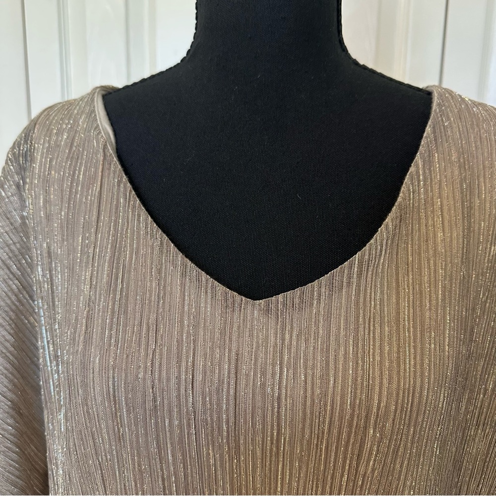 I.N. Studio Metallic Sheer V-Neck Tunic Champagne Size S NWT - Picture 4 of 12